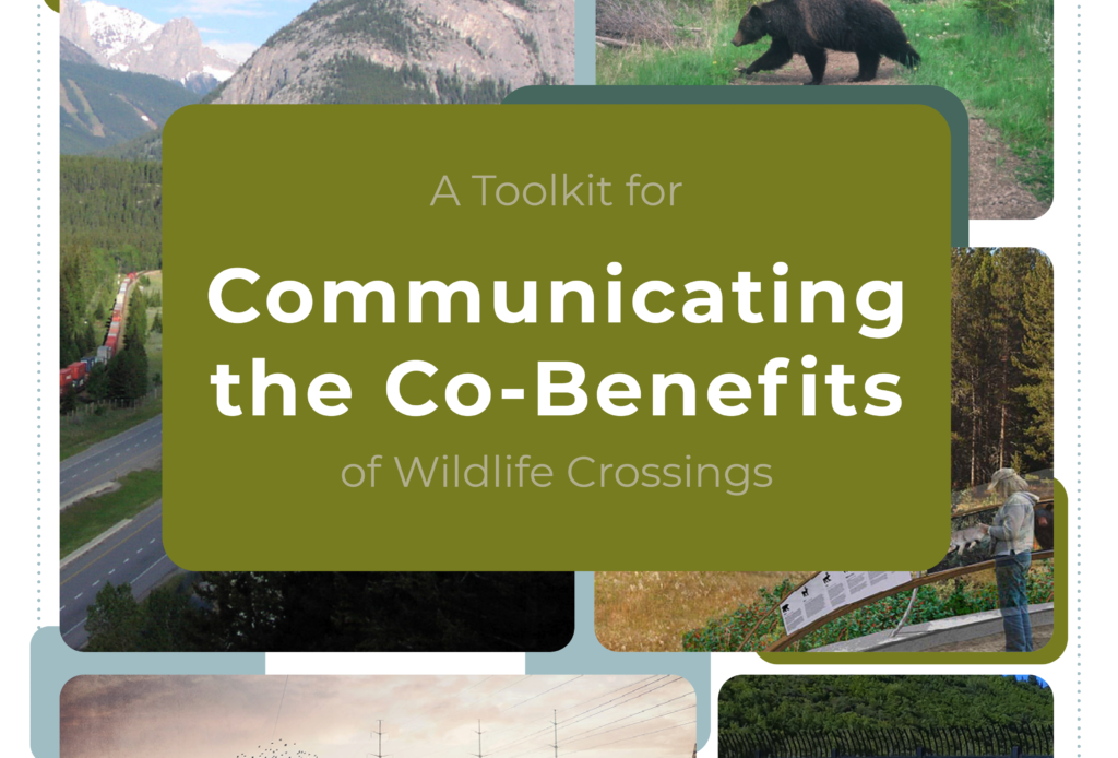 Communicating the Co-benefits